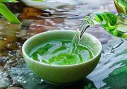 清明茶什么時候采？采清明茶什么時候結(jié)束？