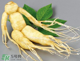 春天能吃高麗參嗎？春天可以喝高麗參湯嗎？