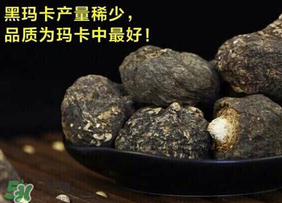 春天能吃瑪卡嗎？女人春天能吃瑪卡嗎？