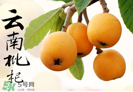 枇杷能放冰箱嗎？枇杷可以放冰箱保存嗎？