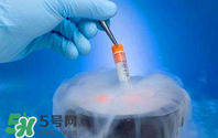 凍卵是什么？凍卵子需要多少錢？