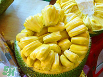 菠蘿蜜的營養(yǎng)價值 吃菠蘿蜜有什么好處？