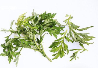 艾草可以治痛經(jīng)嗎？艾草能治月經(jīng)不調(diào)嗎？