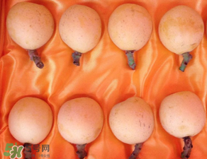 糖尿病能吃枇杷嗎？糖尿病人能吃枇杷嗎？