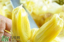 菠蘿蜜怎么吃？菠蘿蜜好吃嗎？
