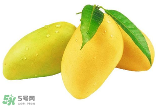 芒果哪里的最好吃？芒果哪種品種好吃？