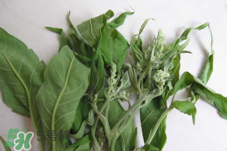 艾草可以治腳氣嗎？艾草泡腳能治腳氣嗎？