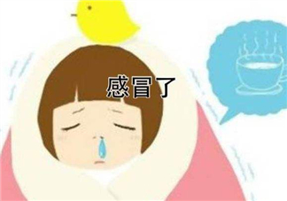 為什么總是感冒？總是感冒怎么回事？