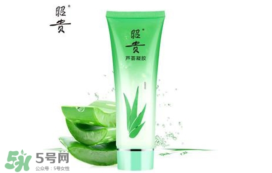 2017蘆薈膠哪個牌子好？2017蘆薈膠品牌推薦