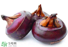 枇杷可以和荸薺一起煮水嗎？枇杷和荸薺能一起吃嗎？