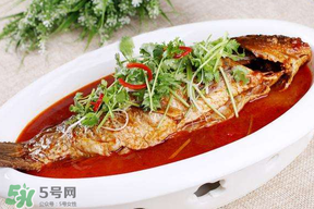 枇杷和魚能一起吃嗎？吃完魚可以吃枇杷嗎？