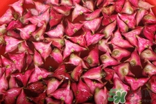 3月份的菱角可以吃嗎？菱角什么時(shí)候吃最好？