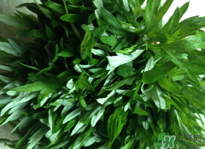 清明草是艾草嗎？清明菜是什么草？