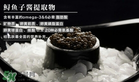 至本是什么牌子？至本什么檔次？