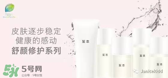 至本是什么牌子？至本什么檔次？