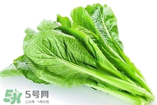 春菜為什么會(huì)苦？春菜發(fā)苦能吃嗎？