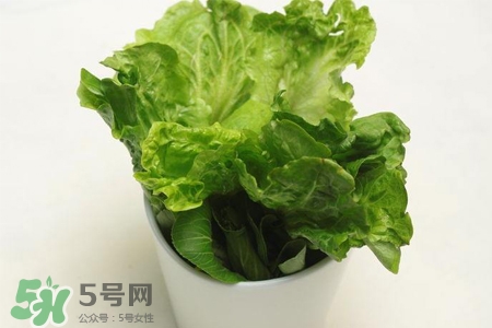春菜為什么會(huì)苦？春菜發(fā)苦能吃嗎？
