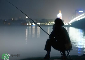 春分能夜釣嗎？春分能釣鯉魚嗎？
