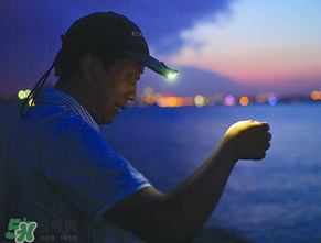 春分能夜釣嗎？春分能釣鯉魚嗎？
