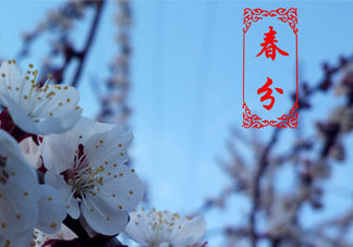 春菜為什么會苦？春菜發(fā)苦能吃嗎？