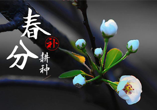 春分吃春菜有什么好處？春菜有什么營養(yǎng)價值？