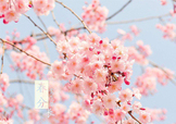 春分吃什么？春分吃什么會更加健康？
