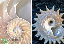 珍珠貝母表盤好嗎？珍珠貝母表盤耐用嗎？