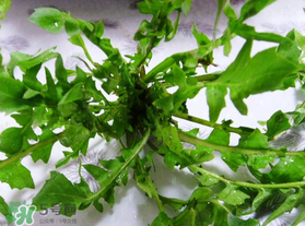 春天吃薺菜好嗎？春天吃薺菜有什么好處？
