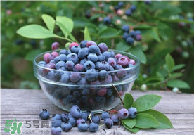 藍(lán)莓一天吃多少為宜？藍(lán)莓每天吃多少合適？