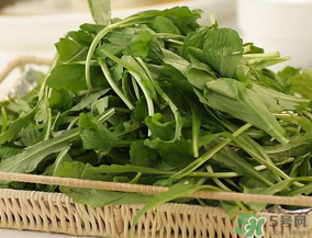 薺菜有毒嗎？吃薺菜會中毒嗎？