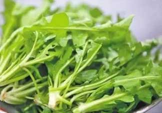 便秘能吃薺菜嗎？便秘可以吃薺菜嗎？