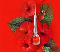 cl指甲油多少錢？cl紅底鞋指甲油專柜價(jià)格