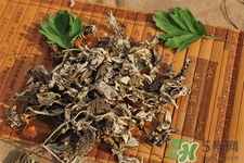 艾草可以泡腳嗎？艾葉泡腳的功效與作用