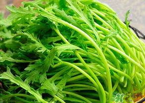 皇帝菜是茼蒿嗎？皇帝菜和茼蒿的區(qū)別