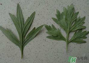 ?蒿子怎么去除苦味？?蒿子粑粑苦是什么原因？
