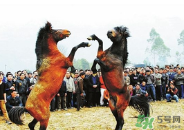三月三有什么禁忌？三月三有什么講究？