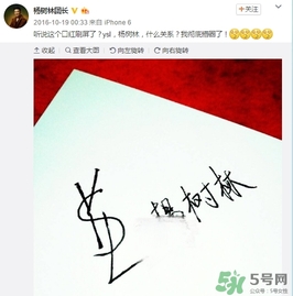 楊樹林口紅是什么牌子？楊樹林口紅是哪個國家的？