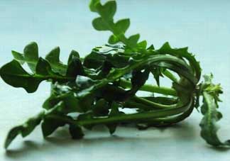 乙肝能吃薺菜嗎？乙肝病人可以吃薺菜嗎？
