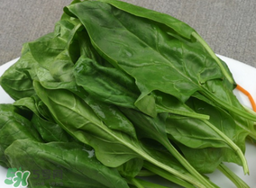菠菜汁和面菠菜還焯嗎？菠菜汁和面需要焯水嗎？