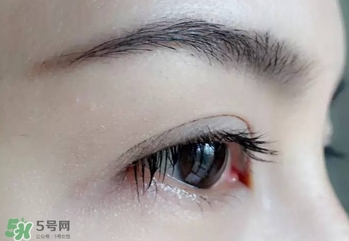 serge lutens蘆丹氏睫毛膏怎么樣？蘆丹氏睫毛膏好不好用？