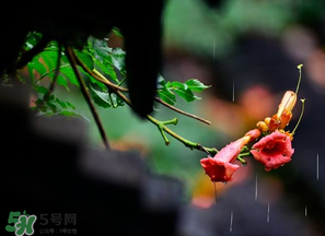 2017年梅雨季節(jié)是幾月？2017年梅雨季節(jié)是什么時候？