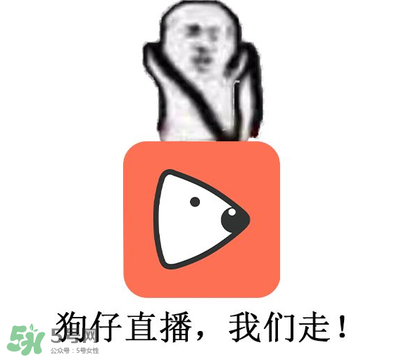 黃鱔為什么火了？黃鱔我們走為什么火了？