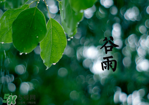 2017年谷雨是幾月幾號？2017年谷雨是哪一天？