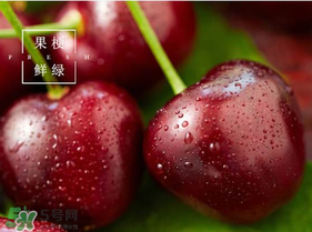 美早櫻桃多少錢一斤？美早櫻桃多少錢一斤2017？
