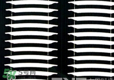 雙眼皮貼哪種最好 雙眼皮貼哪種好用 雙眼皮貼哪種最好 雙眼皮貼哪種好用