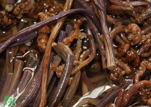 蕨菜能吃嗎？蕨菜可以吃嗎？