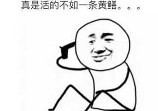 黃鱔有什么錯？黃鱔做錯了什么？