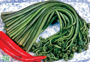 蕨菜有毒嗎？吃蕨菜會(huì)中毒嗎？