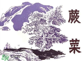 吃蕨菜會過敏嗎？皮膚過敏能吃蕨菜嗎？
