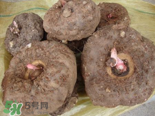 魔芋什么味道？怎么去除魔芋味道？